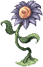 Blue Flower