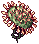 Solid Drosera