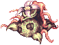 Solid Mandragora