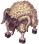 Goat Ringleader