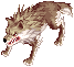 Corrupt Desert Wolf