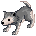 Baby Gray Wolf