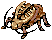 Golden Thief Bug