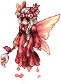 Senior Aries
