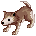 Desert Wolf