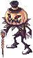 Organic Pumpkin