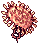 Sea Anemone