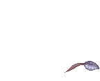 Sropho