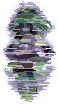 System message