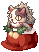Socks Stealing Raccoon