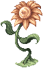 Yellow Flower